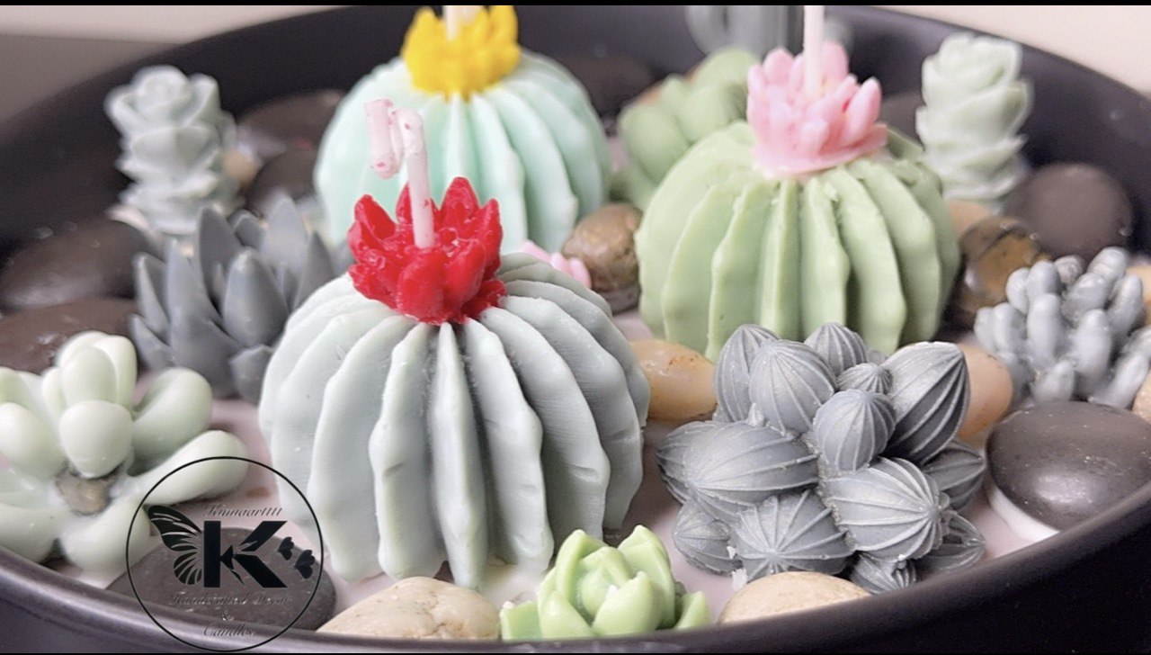 Cactus Garden Collection