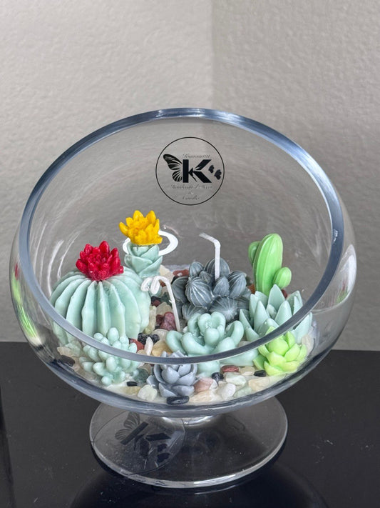 Cactus Garden
